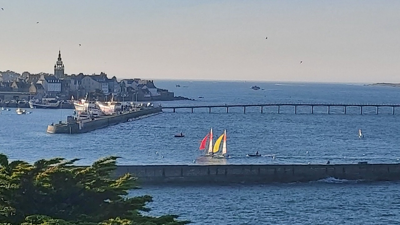 Photo of Others in Roscoff