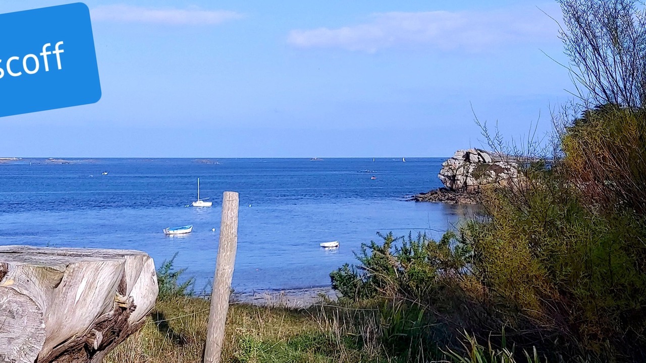 Photo of Others in Roscoff