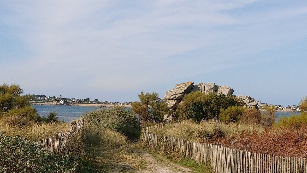 Photo of Others in Roscoff