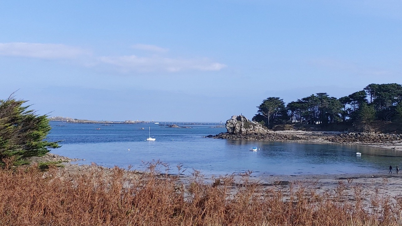 Photo of Others in Roscoff