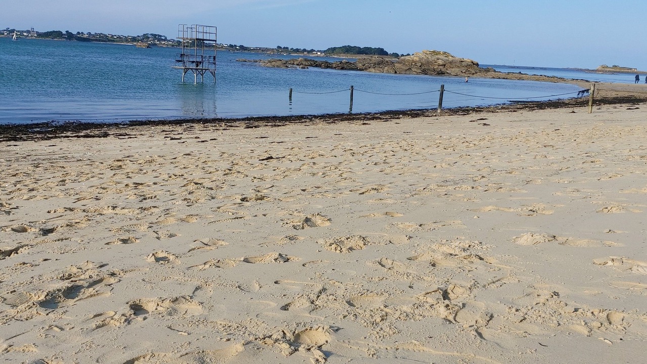 Photo of Others in Roscoff