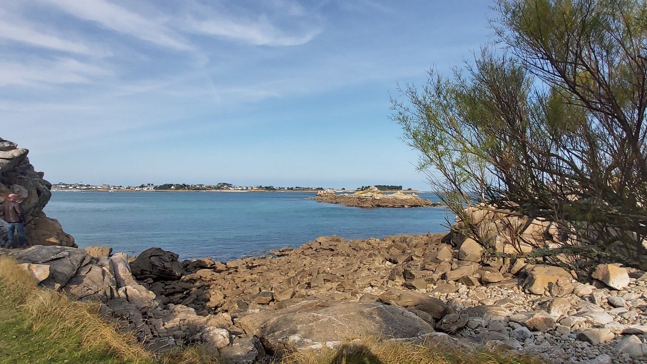 Photo of Others in Roscoff