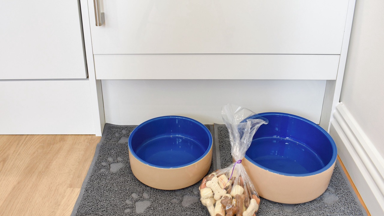 Photo of Others in Consett