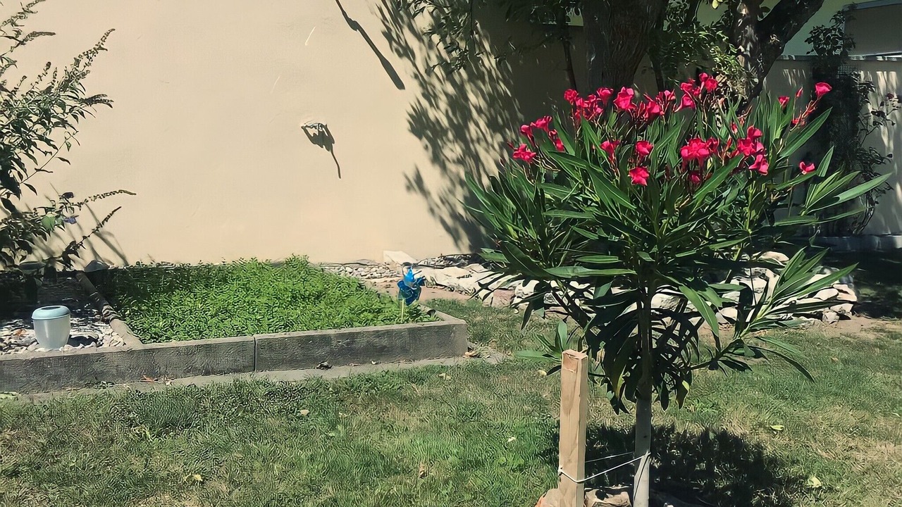 Photo of Outdoor in Wolschwiller