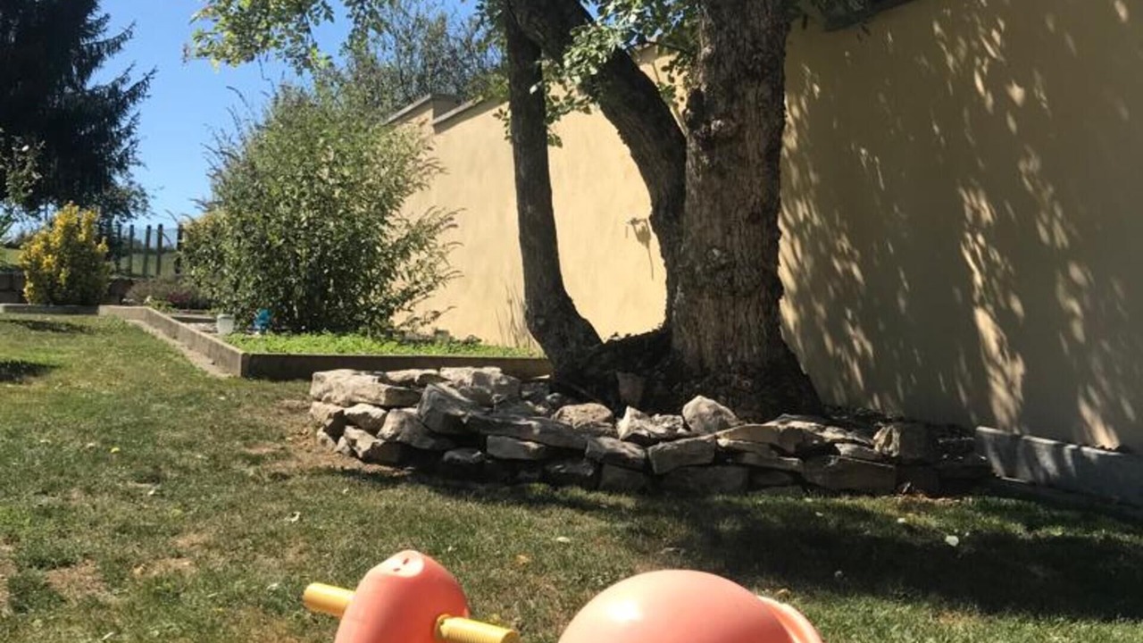 Photo of Outdoor in Wolschwiller