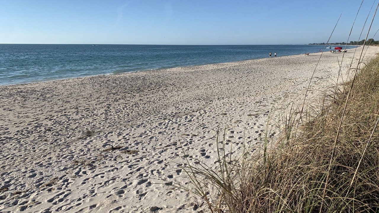 Photo of Others in Nokomis