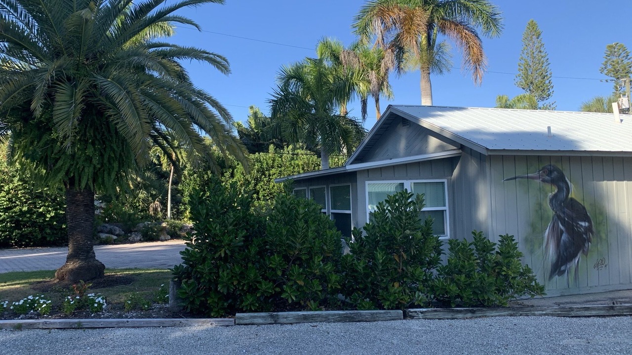 Photo of Outdoor in Nokomis