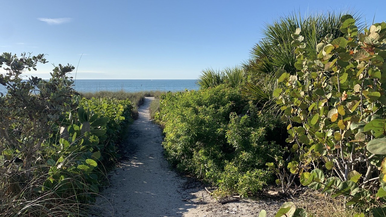 Photo of Others in Nokomis