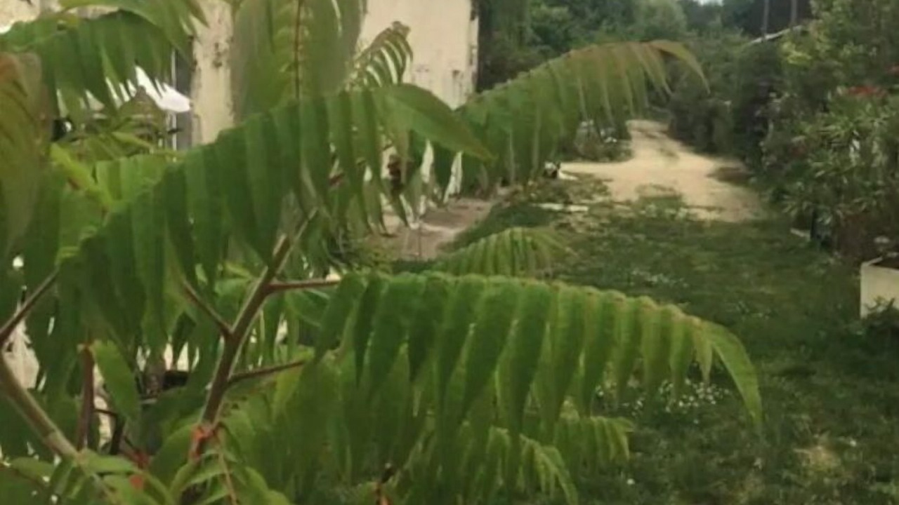 Photo of Outdoor in Migne-Auxances