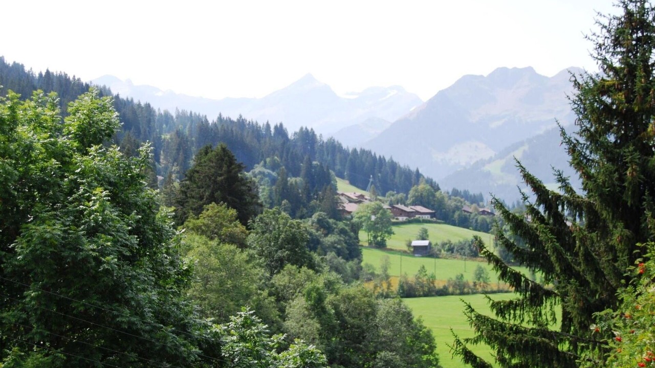 Photo of Others in Saanenmoeser