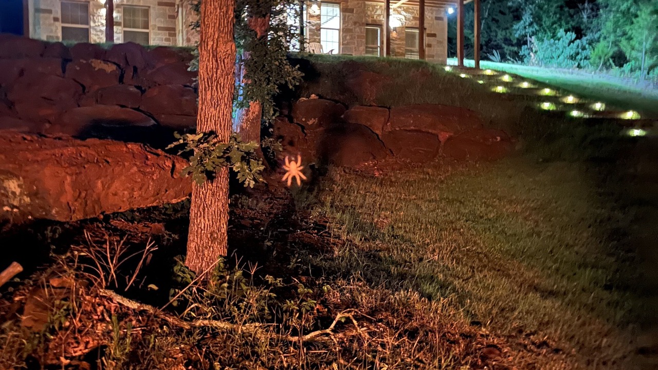Photo of Outdoor in Lake Kiowa