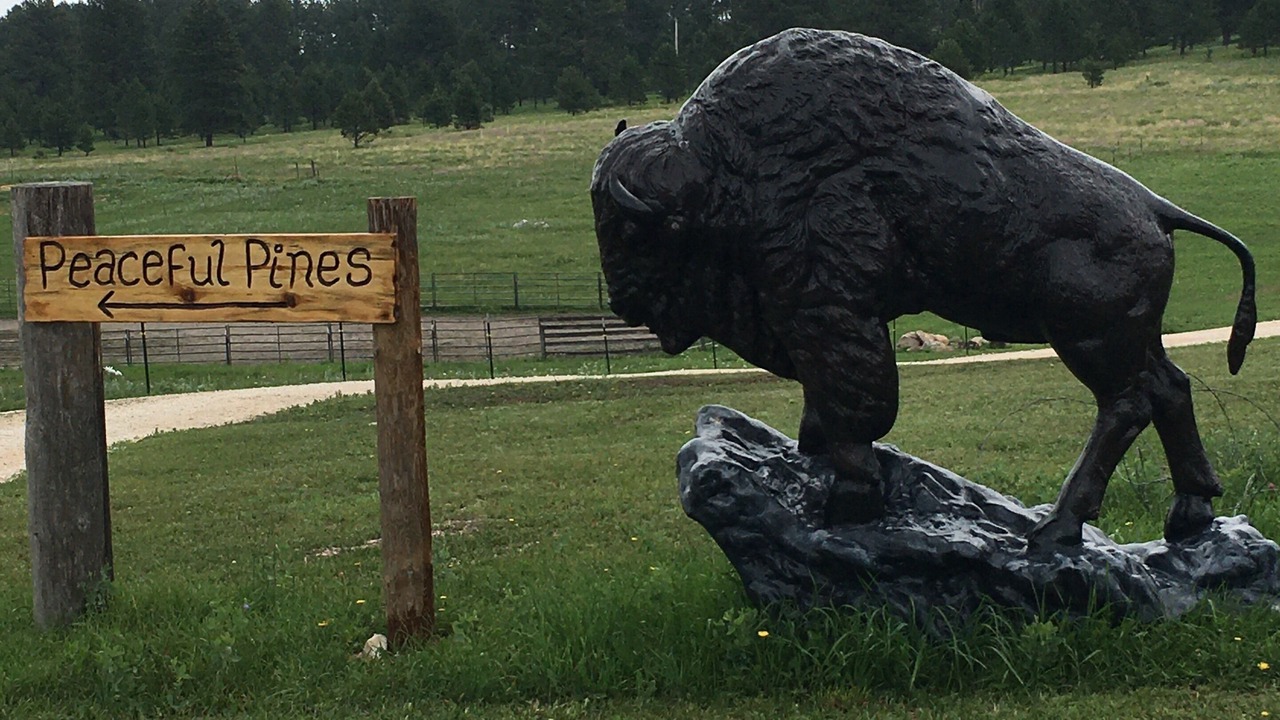 Photo of Others in Custer