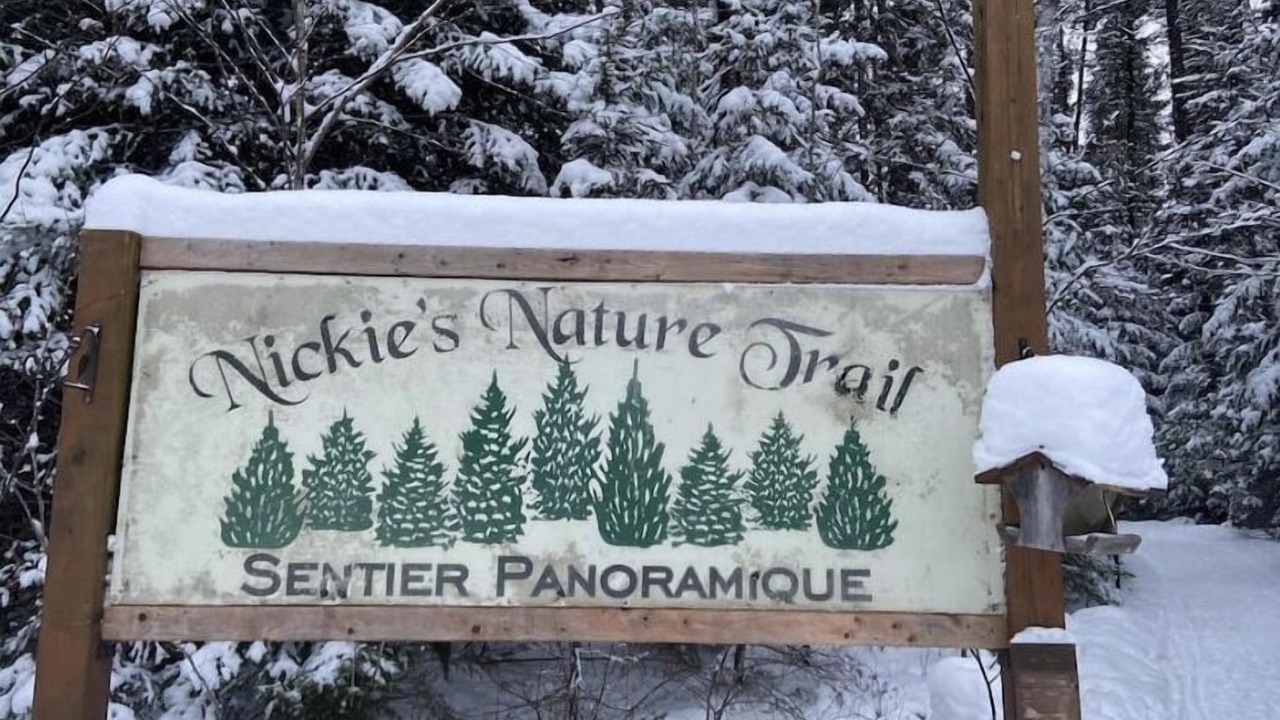 Photo of Outdoor in South Porcupine