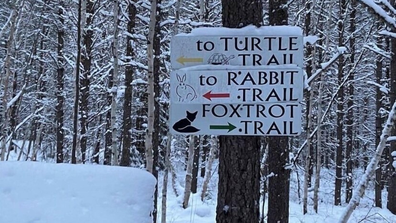 Photo of Outdoor in South Porcupine