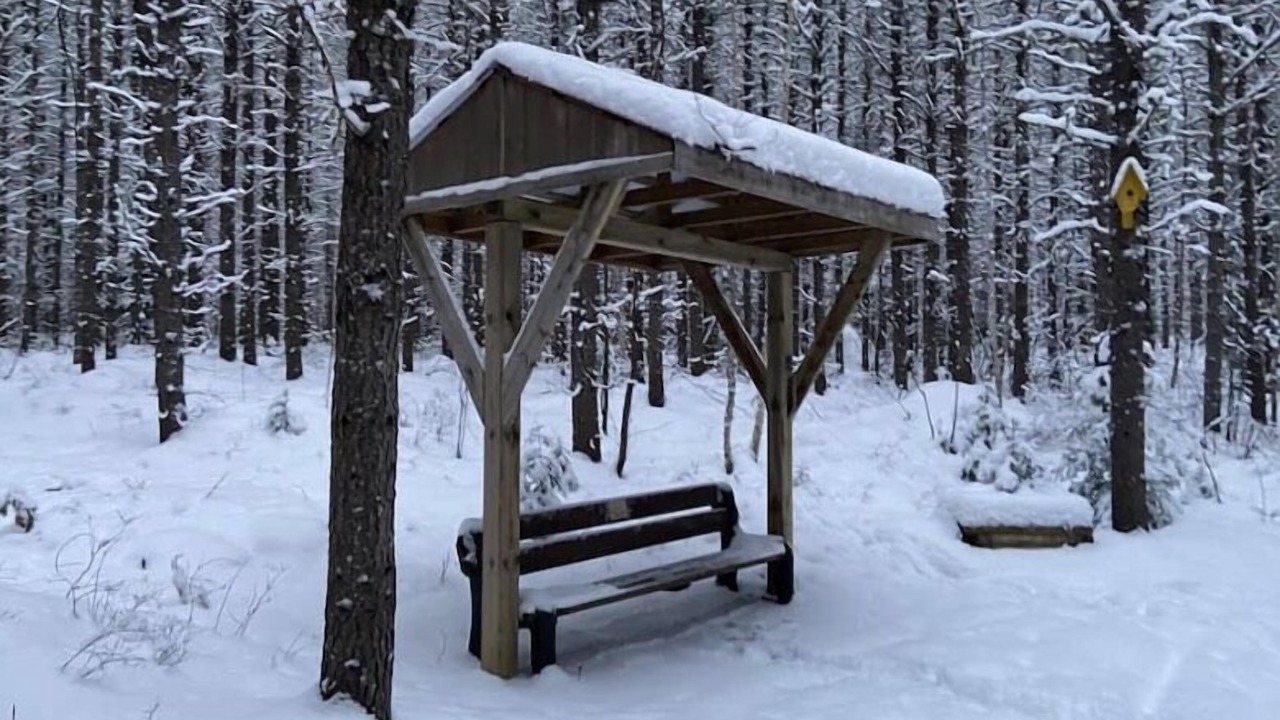 Photo of Outdoor in South Porcupine