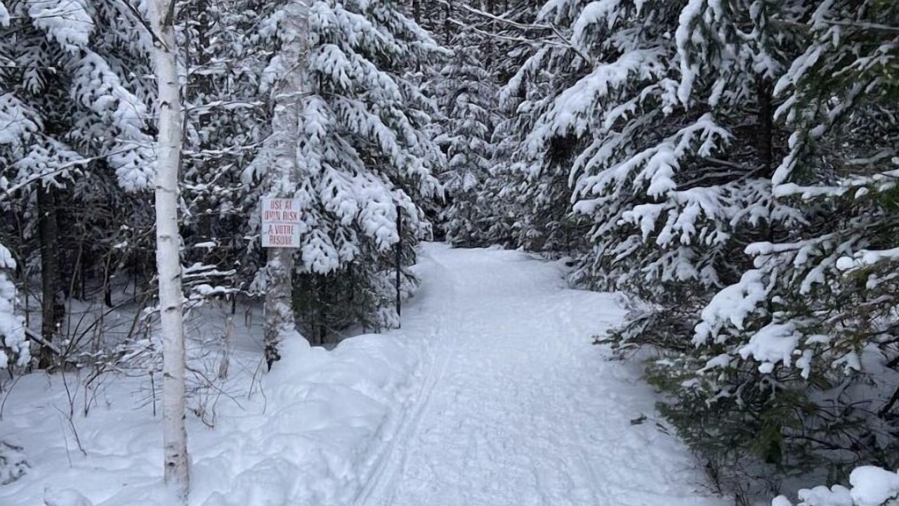 Photo of Others in South Porcupine