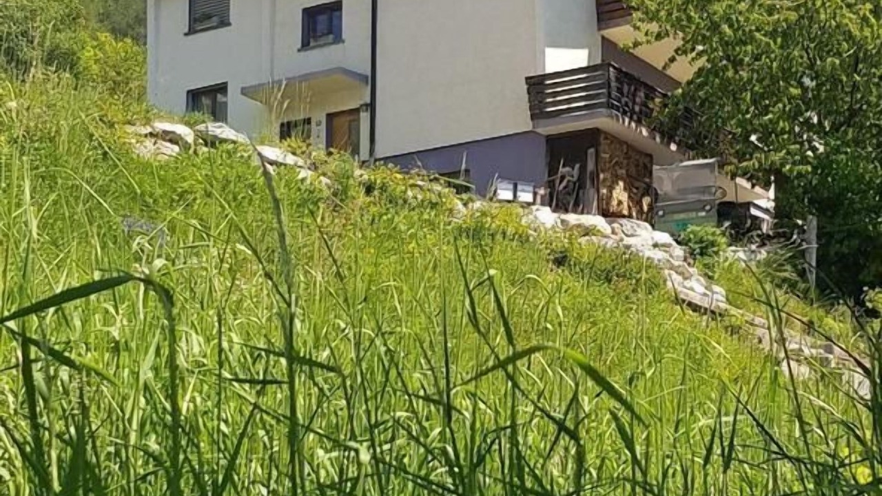 Photo of Others in Albinen