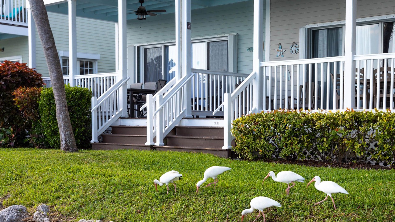 Photo of Patio Balcony in Marathon