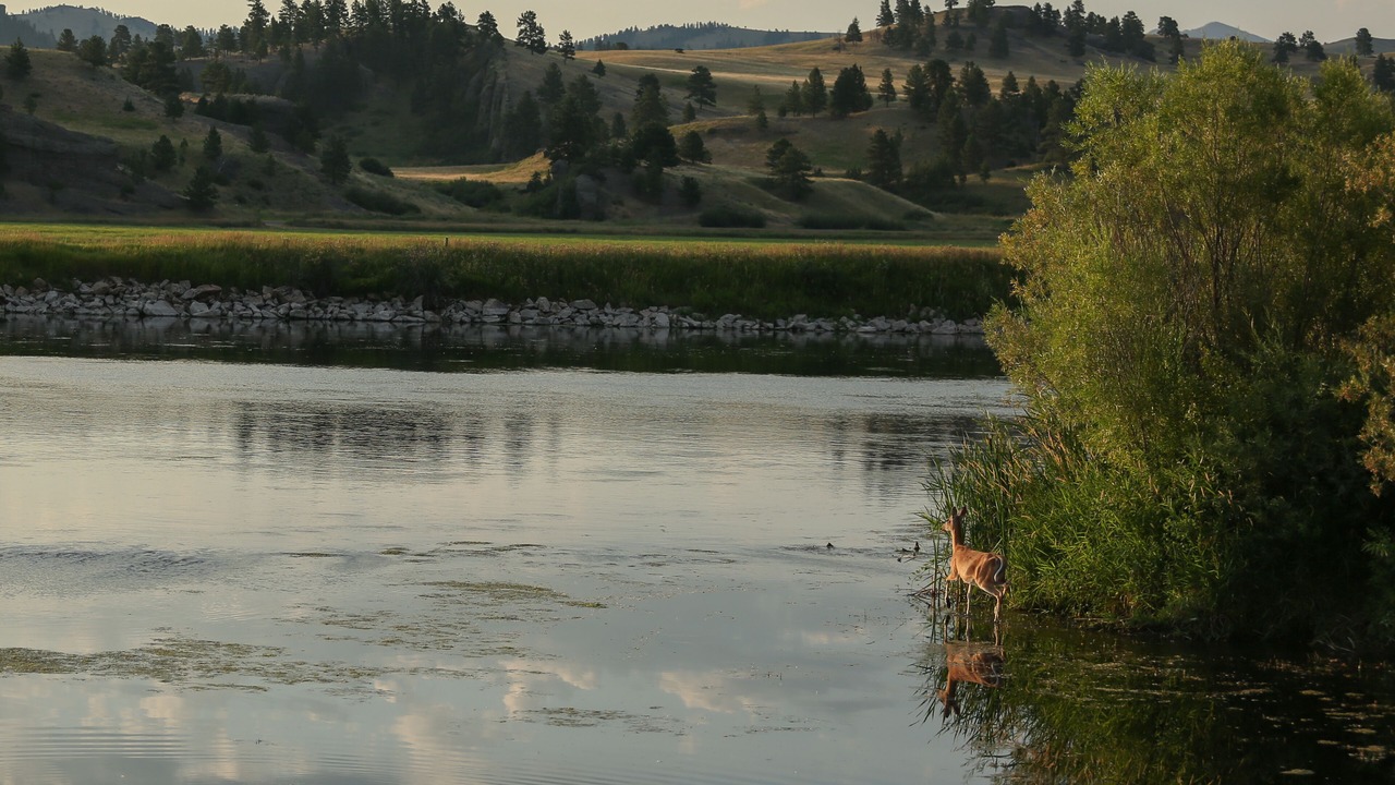 Photo of Outdoor in Craig