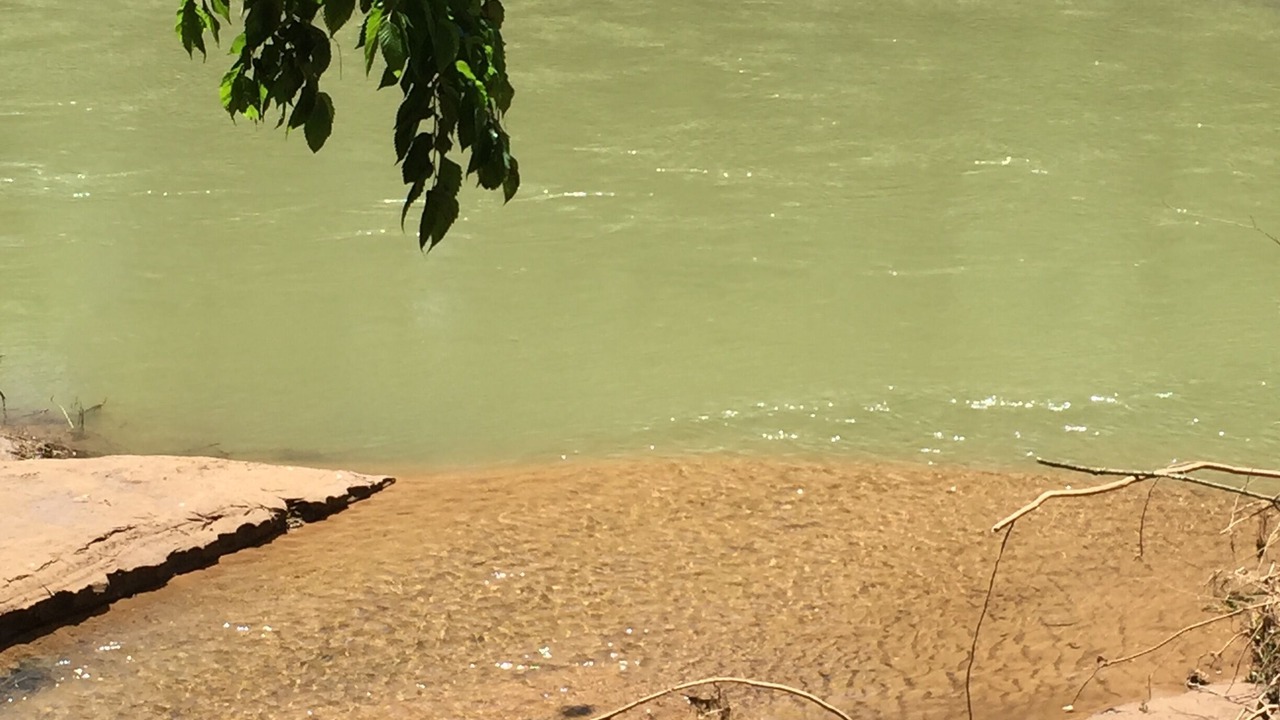 Photo of Others in Berryville