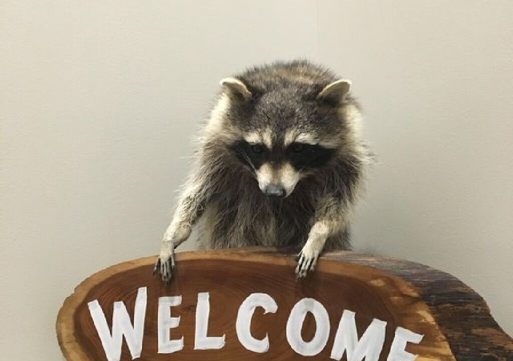 Photo of Others in Brantingham