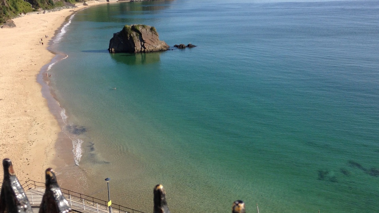 Photo of Others in Tenby