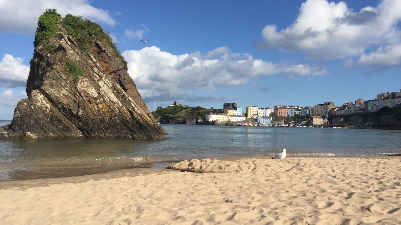 Photo of Others in Tenby