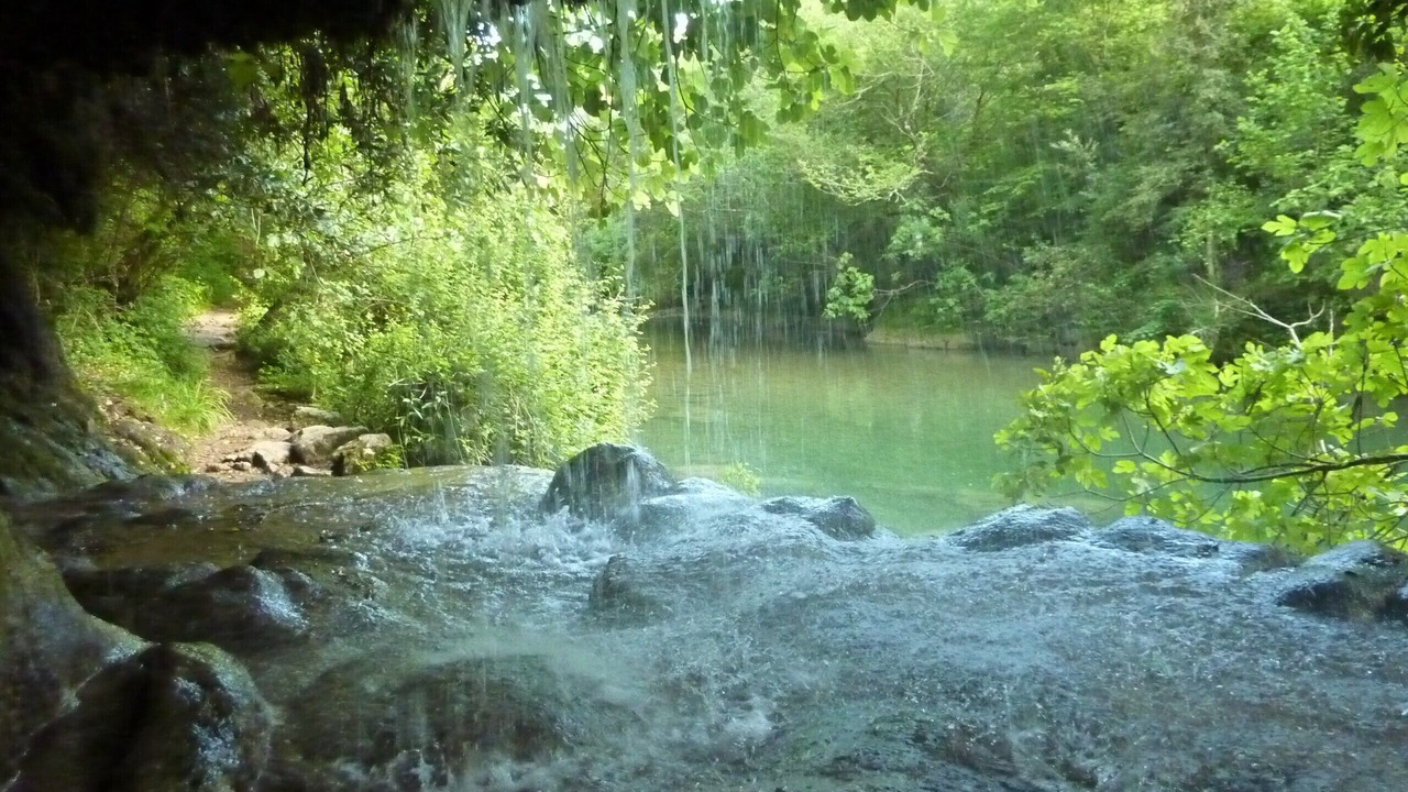 Photo of Others in Montauroux