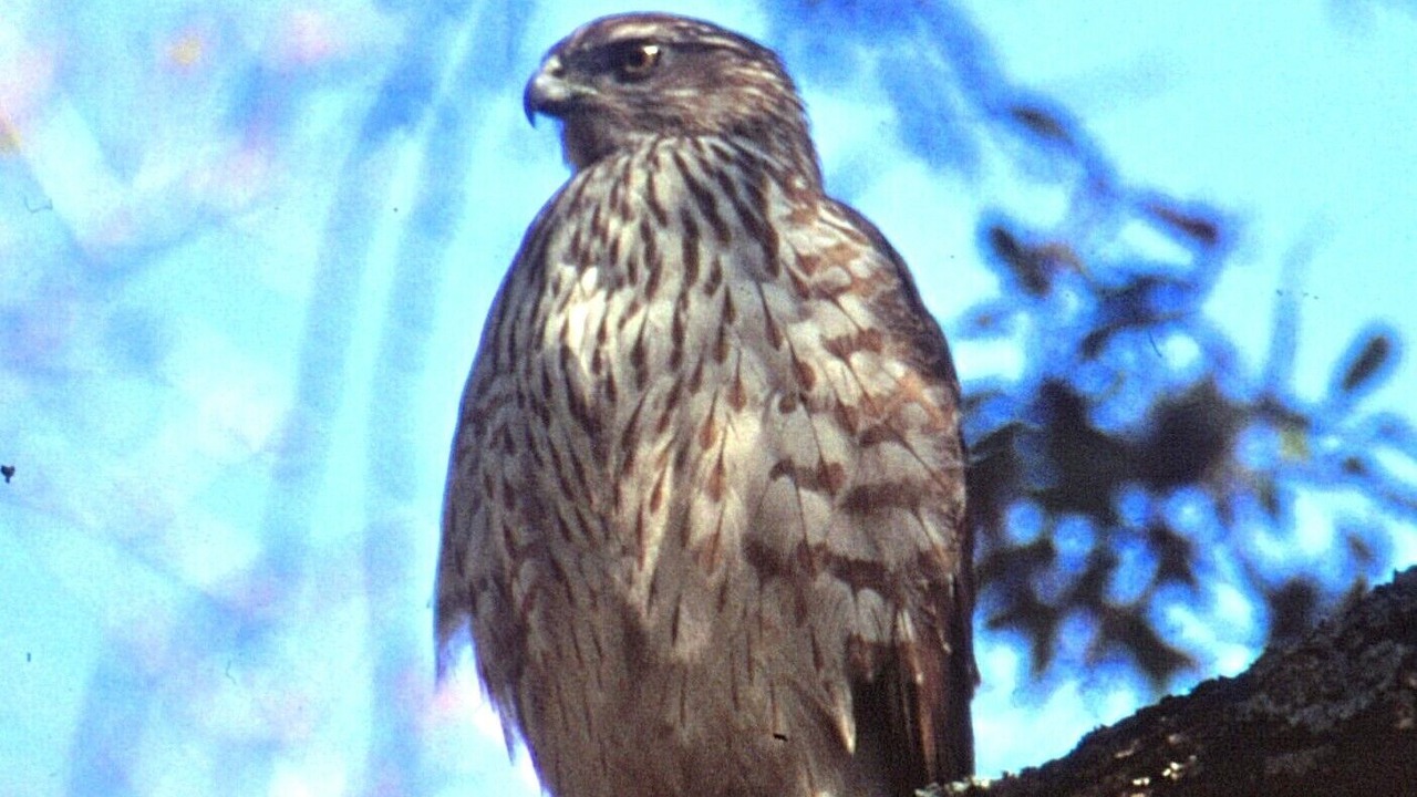 Photo of Outdoor in Lago Vista