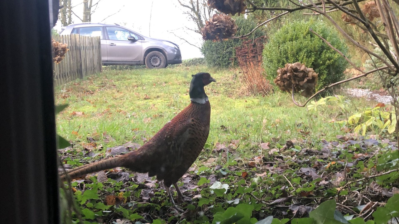 Photo of Others in Sartilly-Baie-Bocage