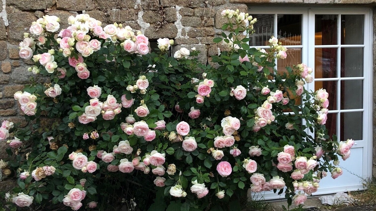 Photo of Outdoor in Sartilly-Baie-Bocage