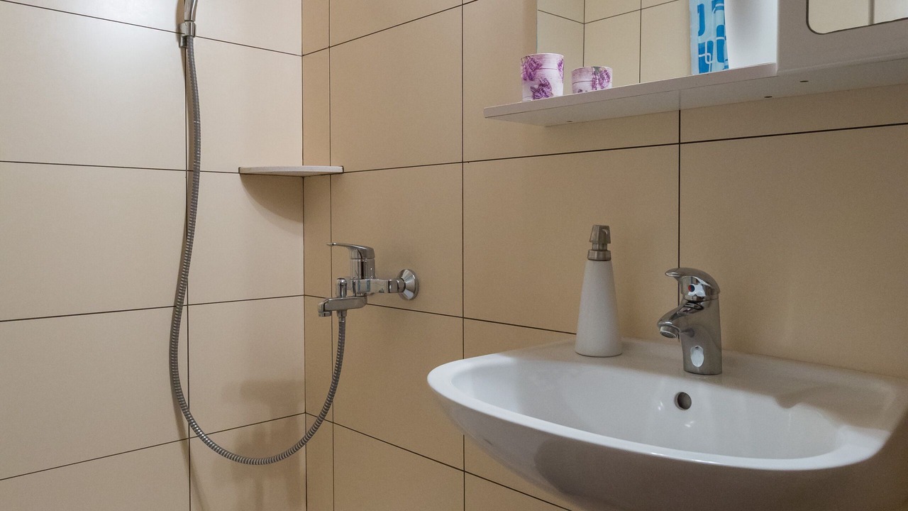 Photo of Bathroom in Lozica