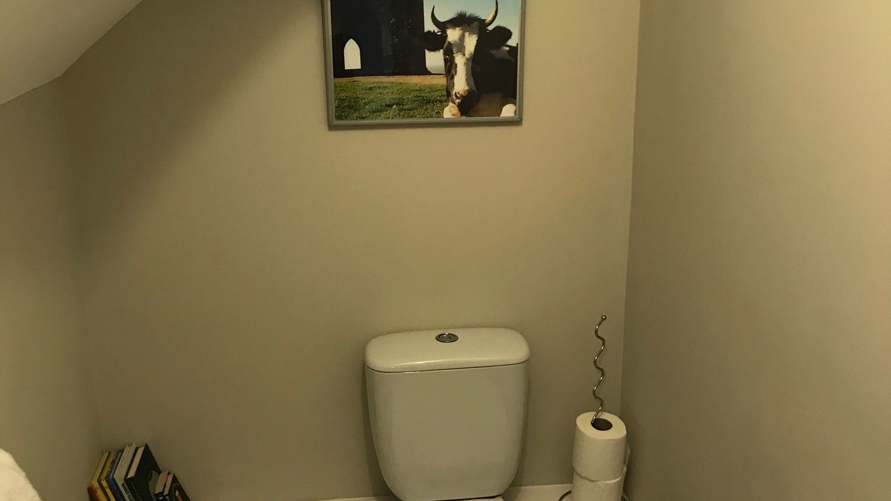 Photo of Others in Glastonbury