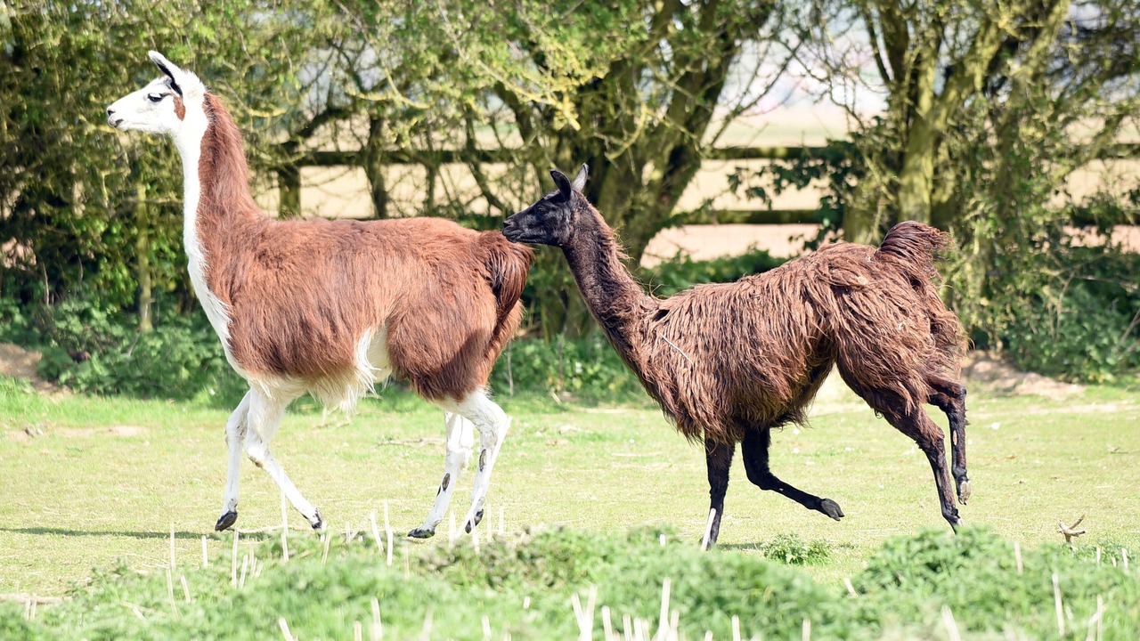 Photo of Others in Wisbech