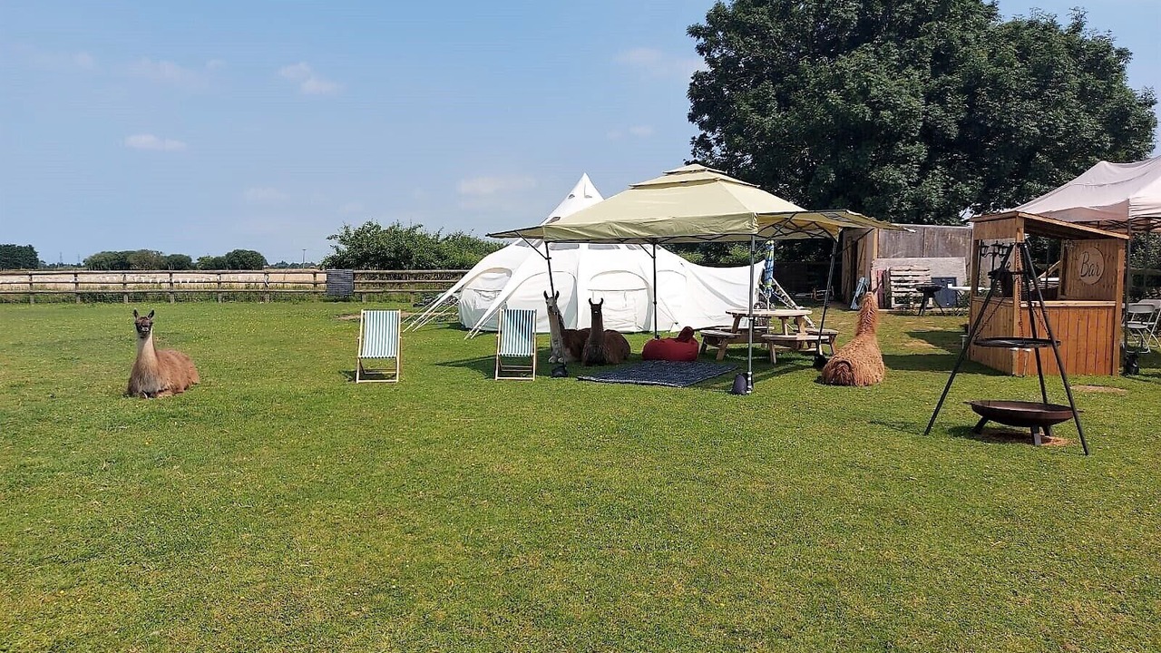 Photo of Others in Wisbech