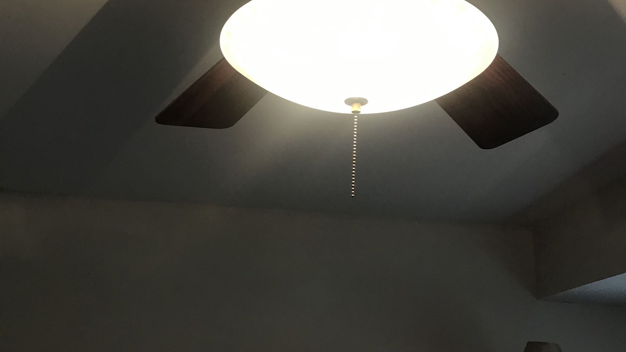 Photo of Others in Dallas