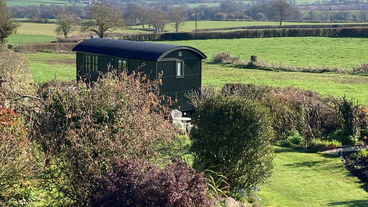 Photo of Others in Cricket Malherbie