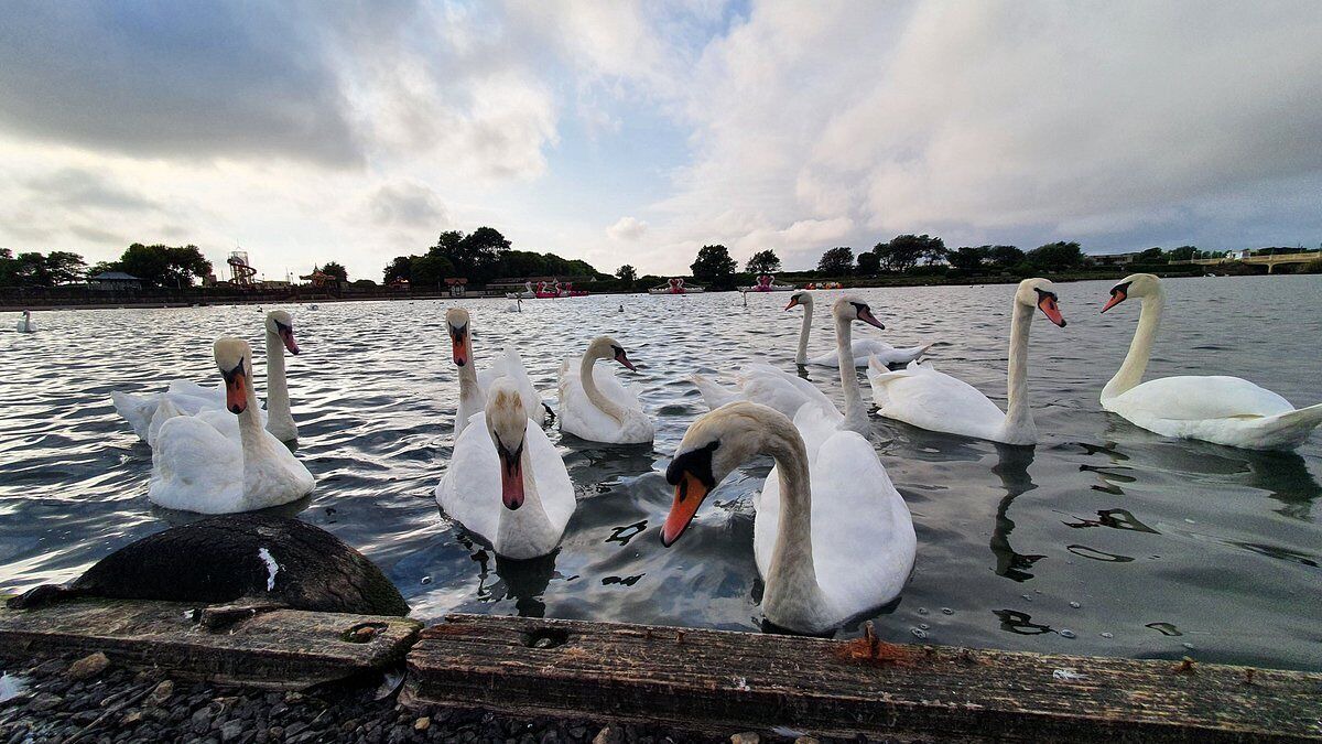 Photo of Outdoor in Birkdale