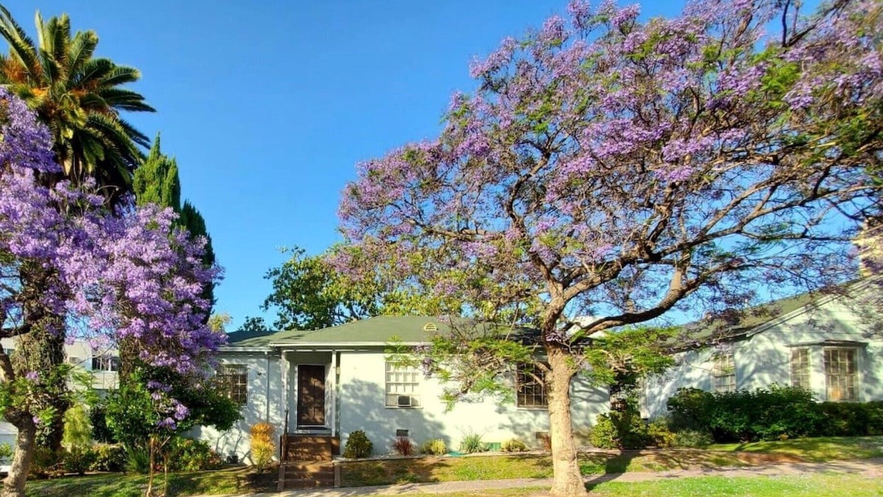 Photo of Outdoor in Westwood