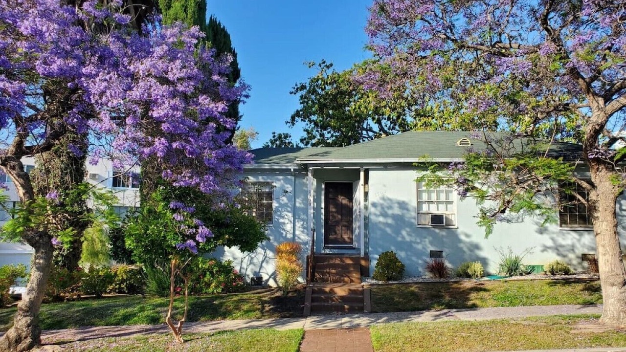 Photo of Outdoor in Westwood