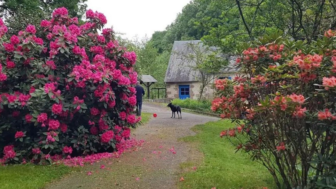 Photo of Outdoor in La Trinite