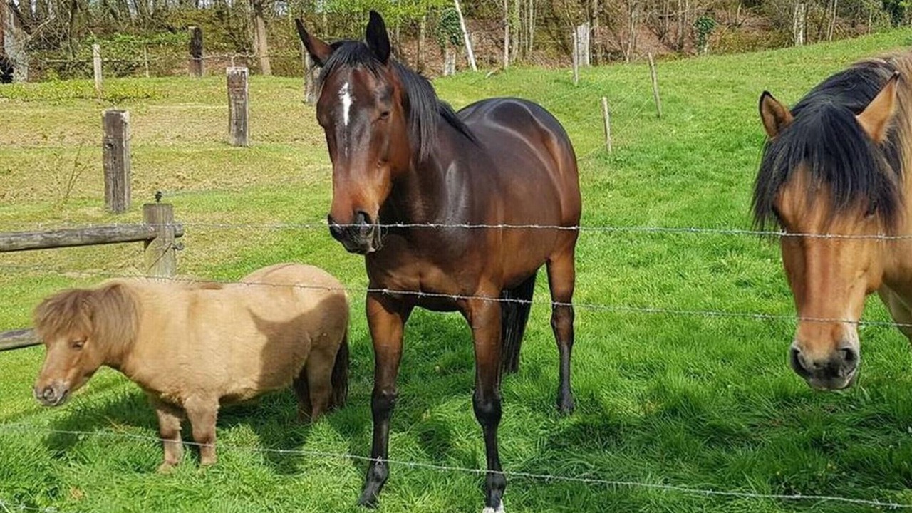 Photo of Outdoor in La Trinite