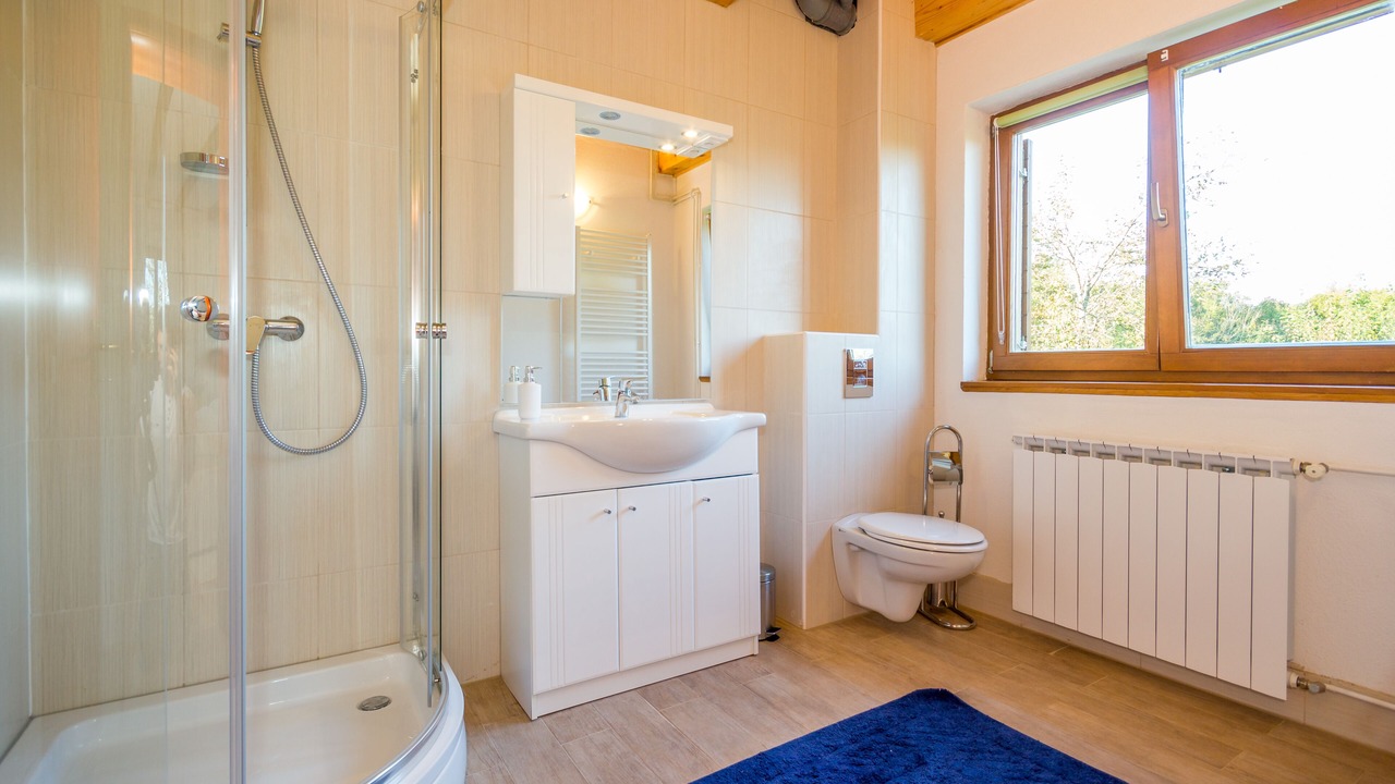 Photo of Bathroom in Plaski