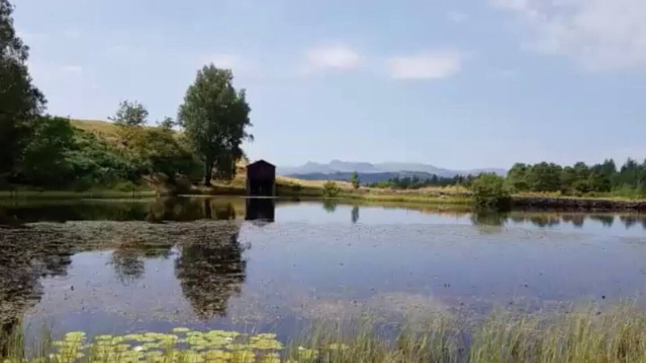 Photo of Others in Hawkshead