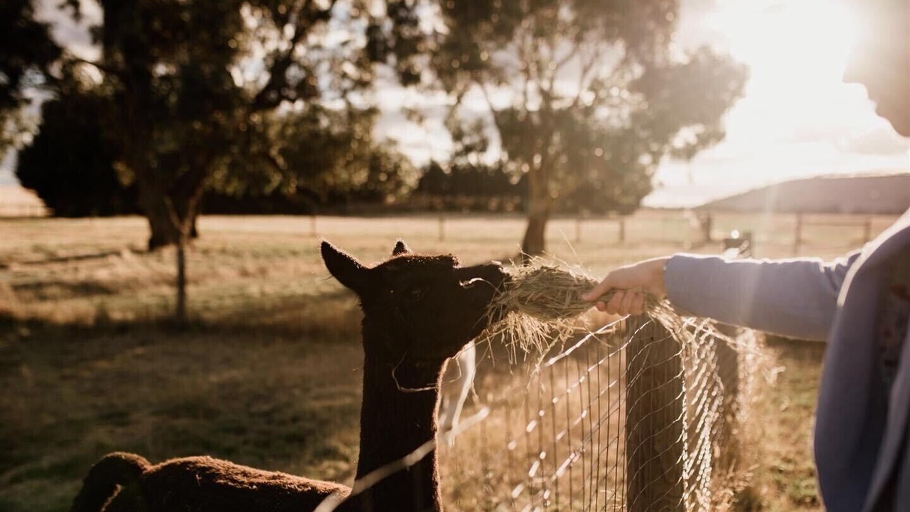 Photo of Outdoor in Blampied