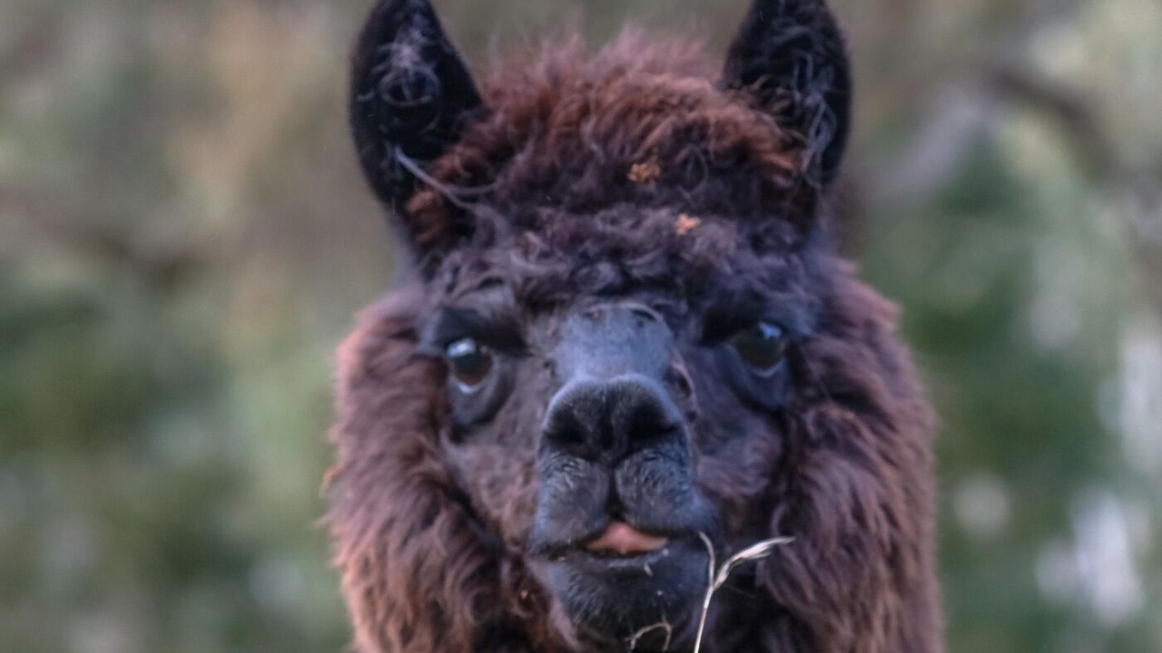 Photo of Outdoor in Blampied