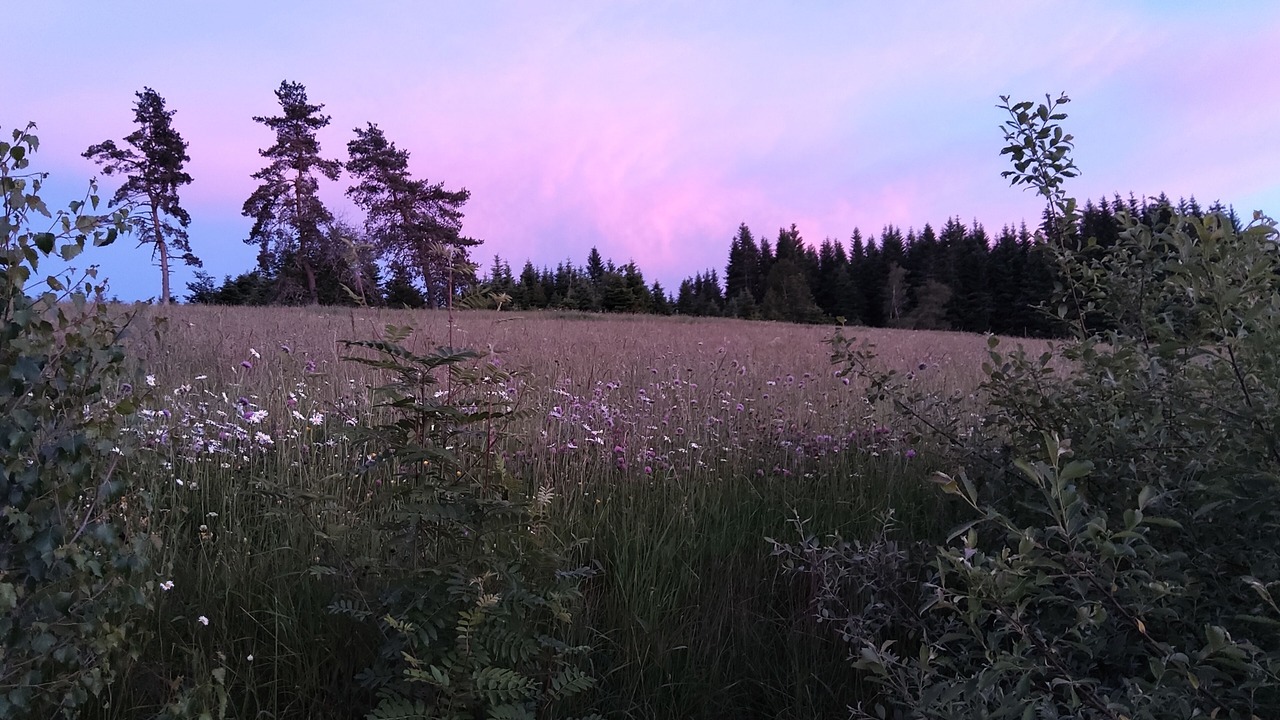 Photo of Outdoor in Sembadel