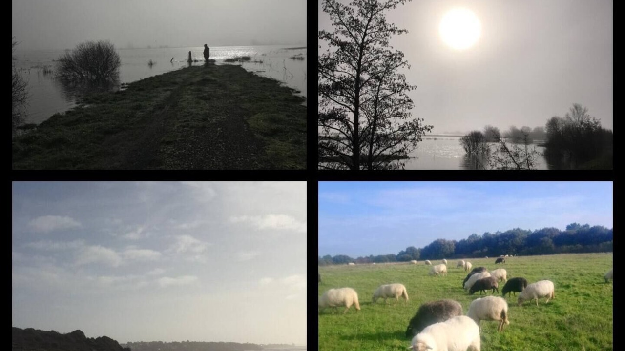 Photo of Others in Machecoul