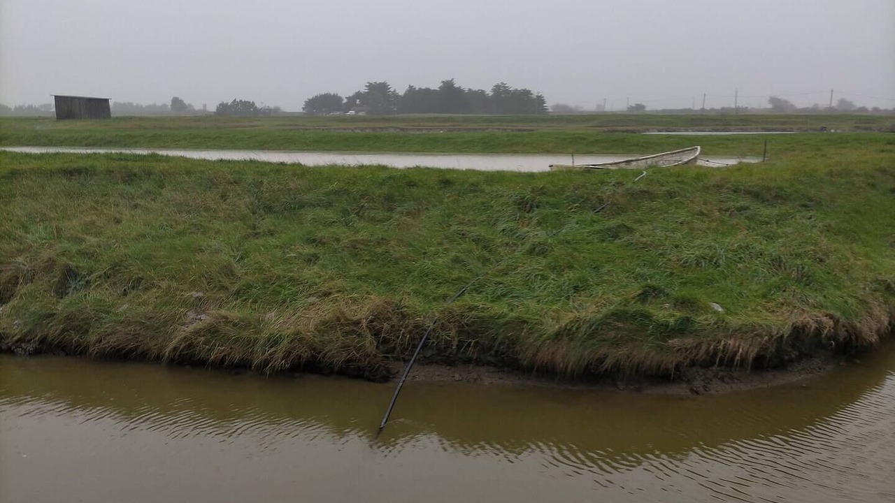 Photo of Outdoor in Machecoul