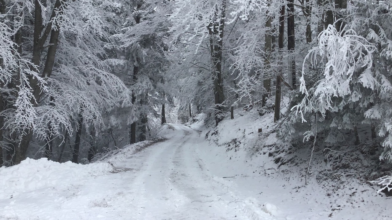 Photo of Others in Station de Drouzin le Mont